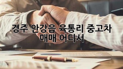 경주 안강읍 육통리 중고차 매매, 어디서?