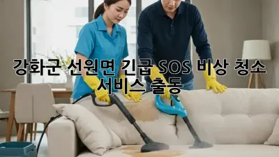 ✨ 강화군 선원면 긴급 SOS! 비상 청소 서비스 출동 🚨