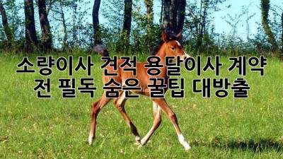 📦 소량이사 견적? 용달이사 계약 전 필독! 숨은 꿀팁 대방출🍯