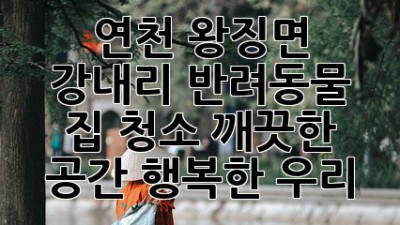 연천 왕징면 강내리 반려동물 집 청소: 깨끗한 공간, 행복한 우리!